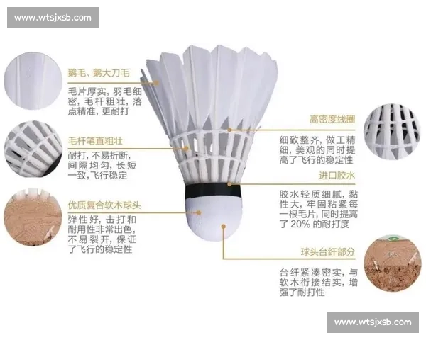 羽毛球比赛用几号球的选择标准与业余专业实战差异解析全面指南一解